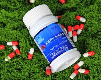 薊海牌水飛薊膠囊